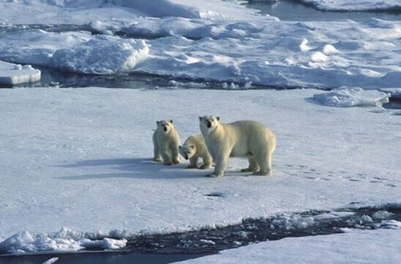 global-warming