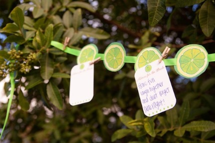 eco-friendly-bridal-shower