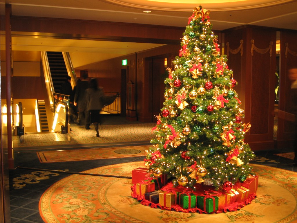 How to Keep your Christmas Tree Alive for Longer Time – Blog of How to Keep your Christmas Tree Alive for Longer Time – Blog of