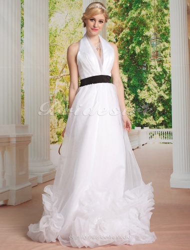 A-line Tulle Floor-length V-neck Wedding Dress 