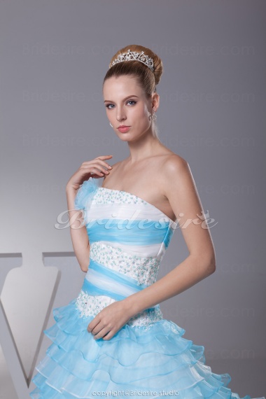 Ball Gown Strapless Court Train Sleeveless Organza Dress