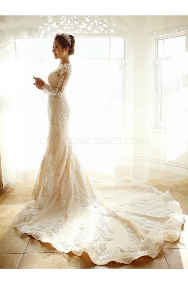 Trumpet/Mermaid Scoop Long Sleeve Lace Wedding Dress