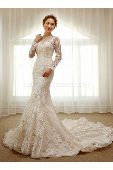 Trumpet/Mermaid Scoop Long Sleeve Lace Wedding Dress