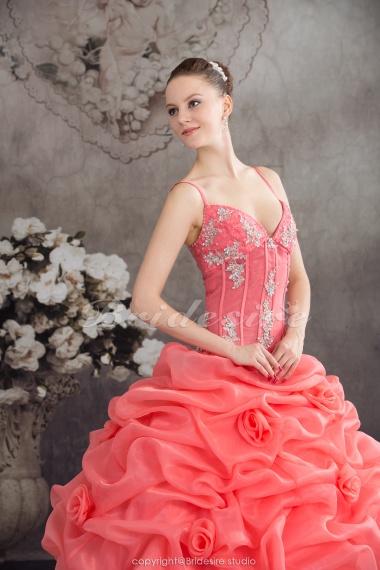Ball Gown Spaghetti Straps Floor-length Sleeveless Organza Dress