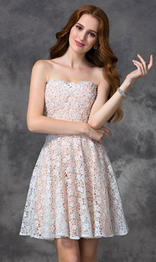 A-line Strapless Sleeveless Lace Dress