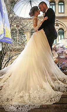 Ball Gown V-neck Long Sleeve Tulle Wedding Dress